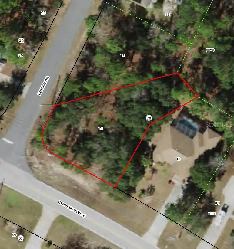 228 Linder Drive, Homosassa, FL 34446 - #1