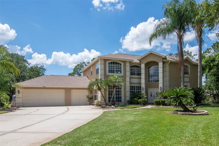 18511 Bittern Avenue, Lutz, FL 33558 - #2