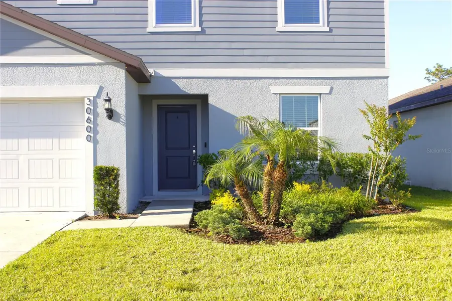 30600 Thunderbird Drive, Wesley Chapel, FL 33545 - #3