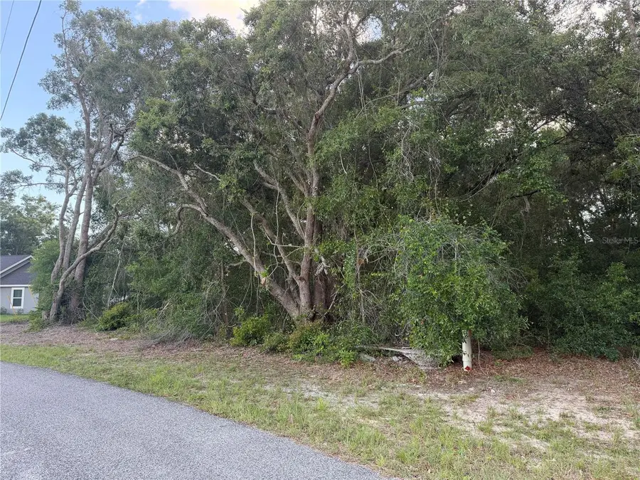 Lot 4, Ocala, FL 34473 - #2