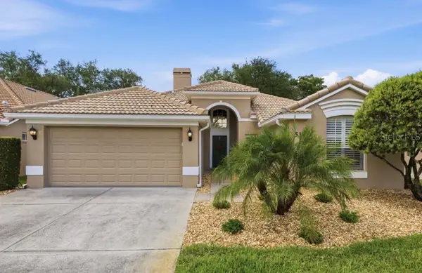5163 Pinnacle Drive, OLDSMAR, FL 34677