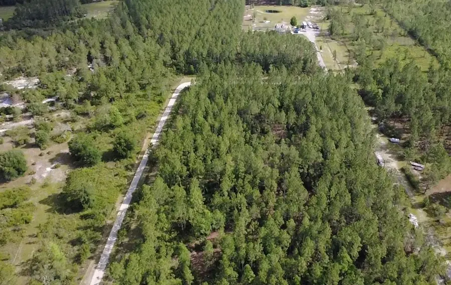 859 Wild Cur Road, Pierson, FL 32180 - #3