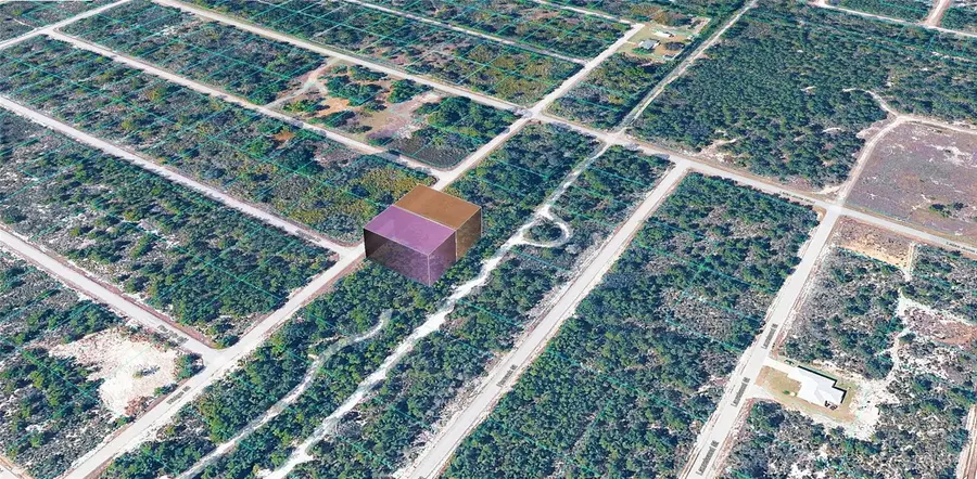 955 Ridge Street, Lake Placid, FL 33852 - #3