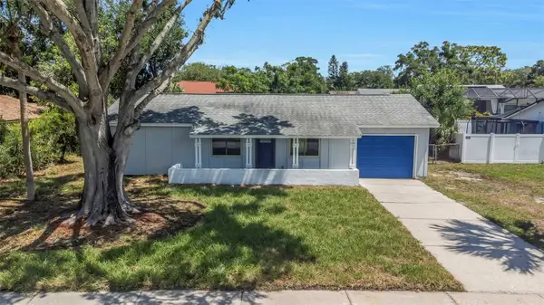 1414 Castleworks Lane, TARPON SPRINGS, FL 34689