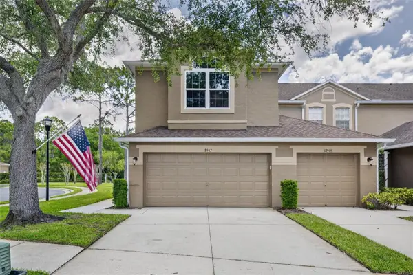 18947 Duquesne Drive, TAMPA, FL 33647