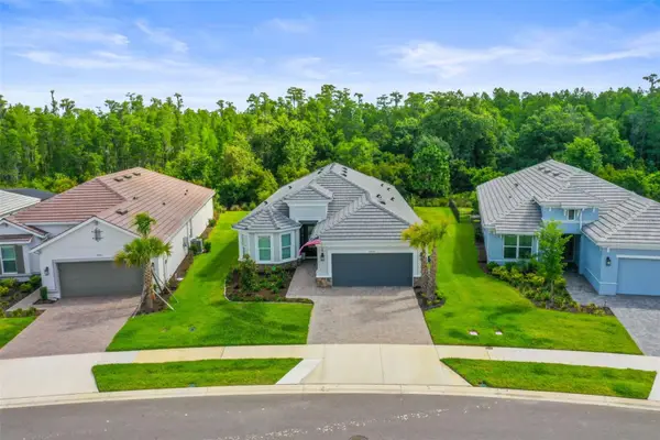 29719 Cassino Court, WESLEY CHAPEL, FL 33543