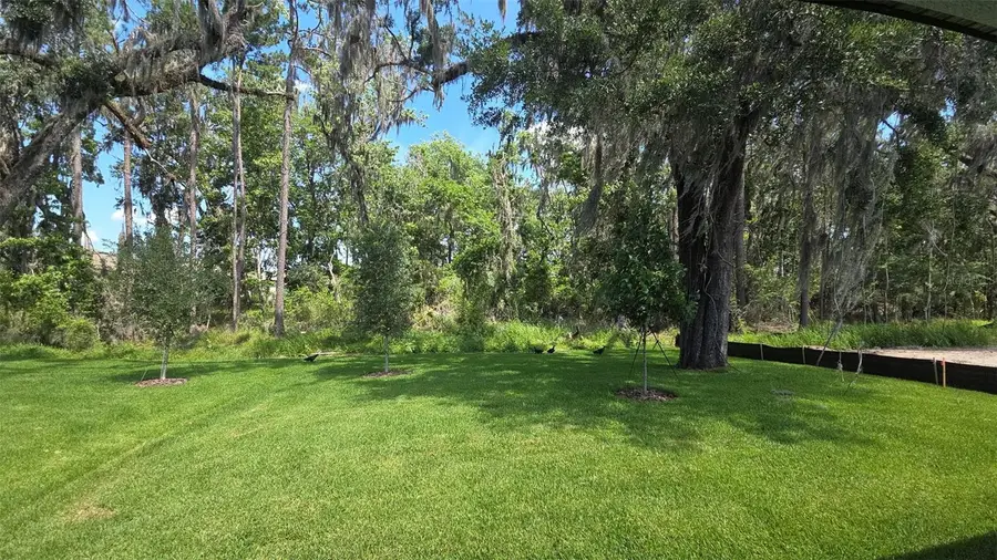 19451 Forest Garden Court, Brooksville, FL 34601 - #3