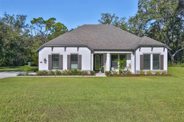 13148 Oldenburg Drive, HUDSON, FL 34667