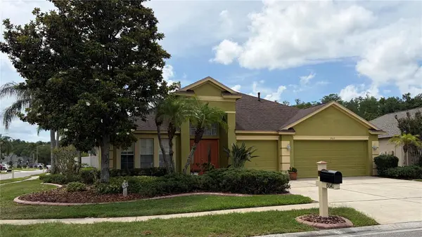 19640 Bergenfeld Drive, LAND O LAKES, FL 34638