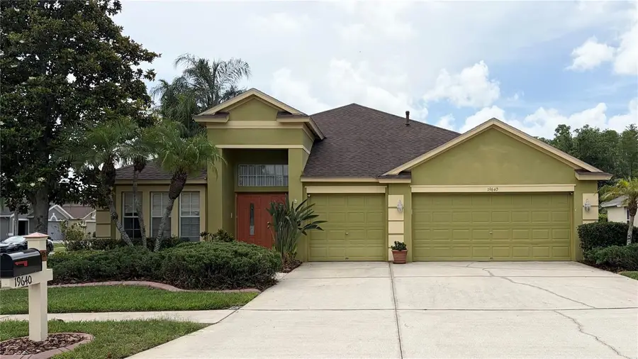 19640 Bergenfeld Drive, Land O Lakes, FL 34638 - #2