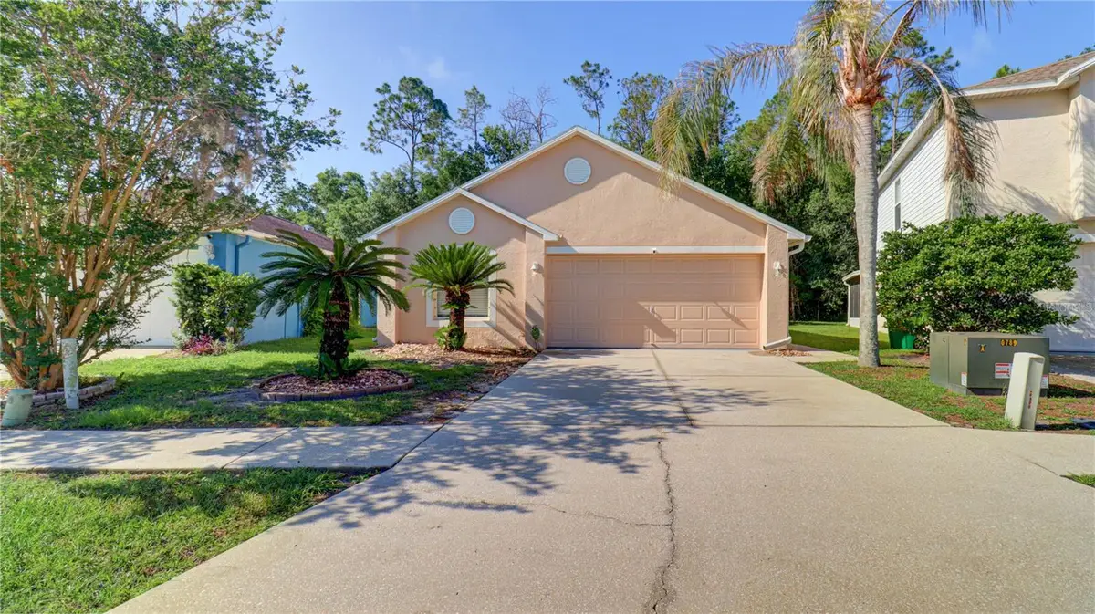 30316 Double Drive, Wesley Chapel, FL 33545 - #1