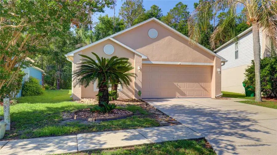 30316 Double Drive, Wesley Chapel, FL 33545 - #3