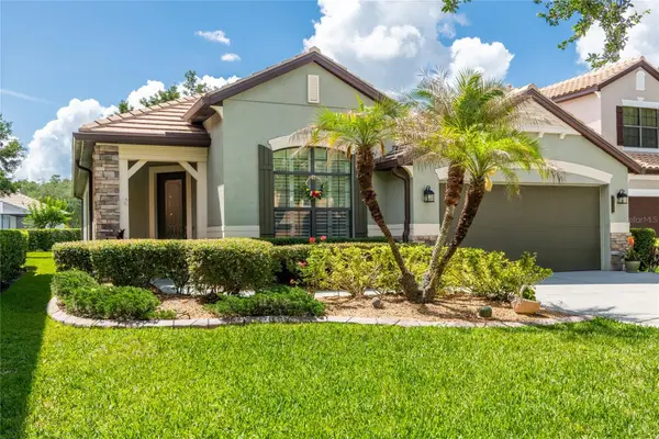 20305 Ash Grove Lane, TAMPA, FL 33647