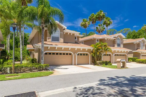 4226 Preserve Place, PALM HARBOR, FL 34685