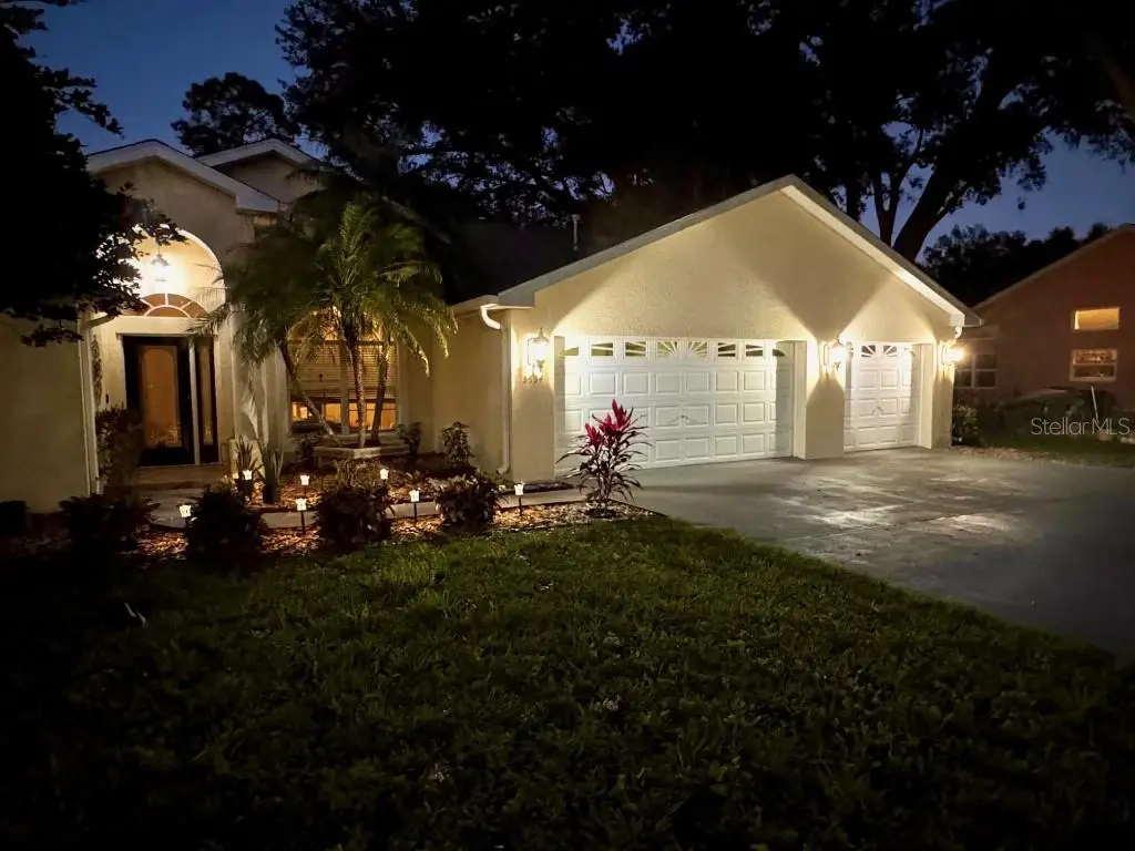 5634 Whitebark Drive, Wesley Chapel, FL 33543 - #1
