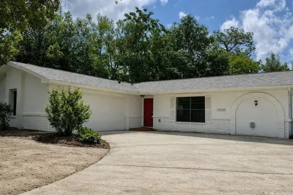 11189 Linden Drive, SPRING HILL, FL 34609