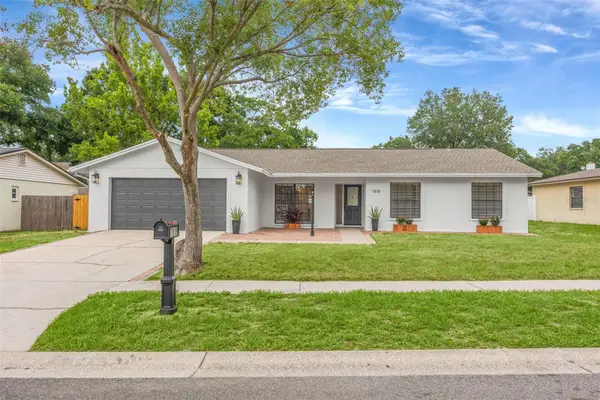 7818 Capwood Avenue, TAMPA, FL 33637