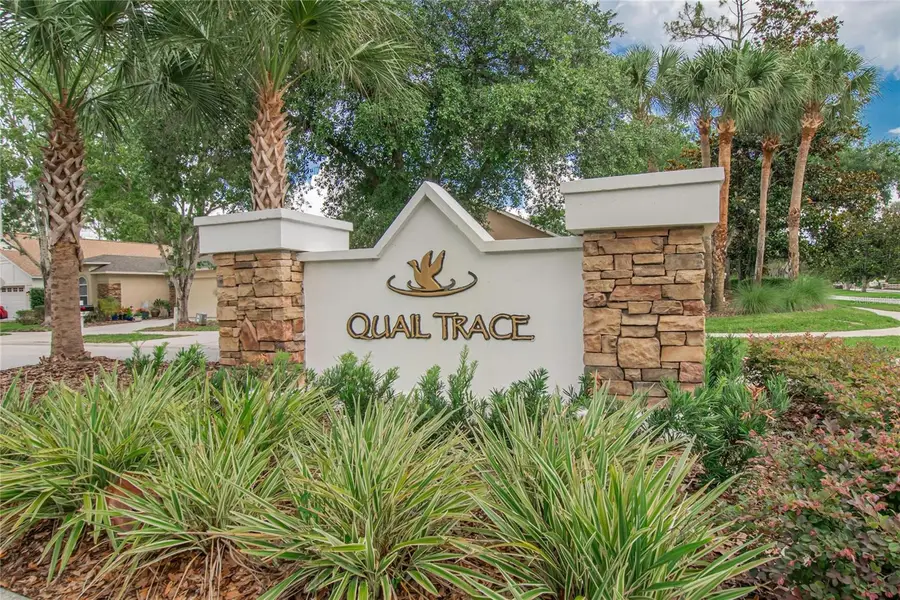 21040 Green Wing Court, Land O Lakes, FL 34637 - #3