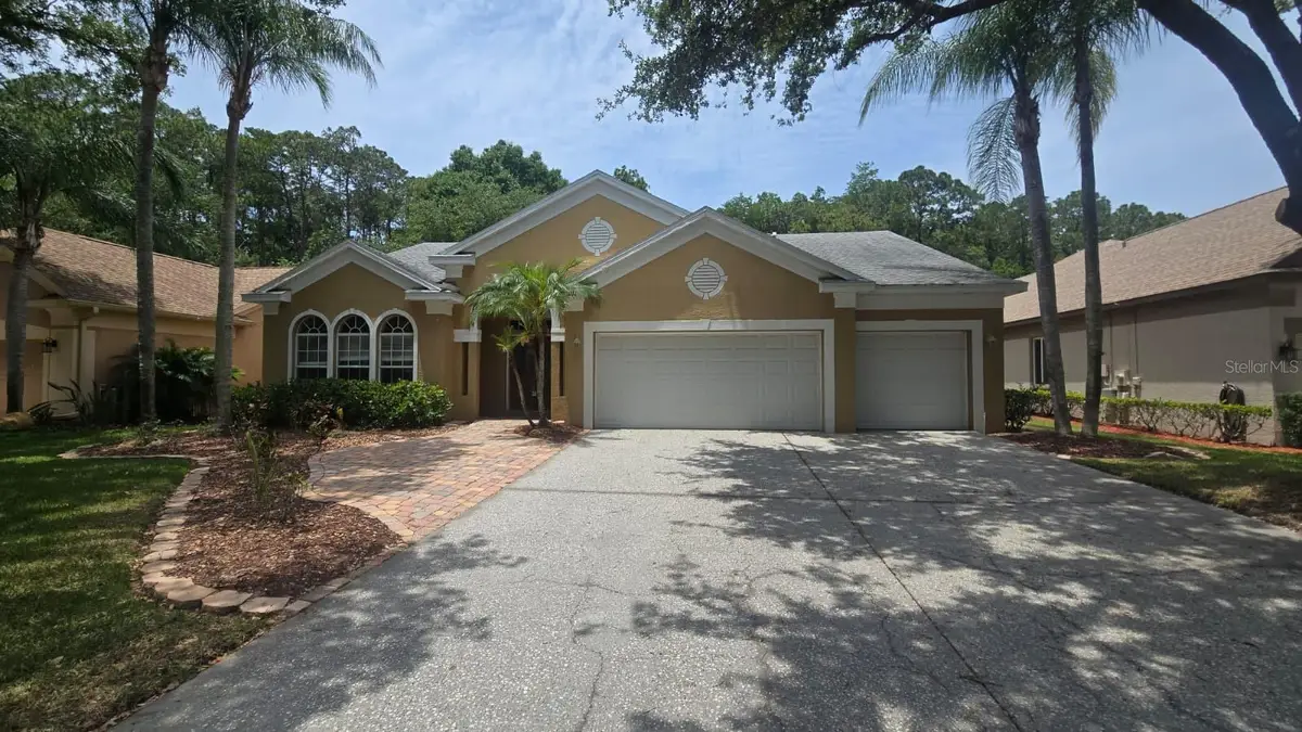 4602 Enright Drive, Palm Harbor, FL 34685 - #1