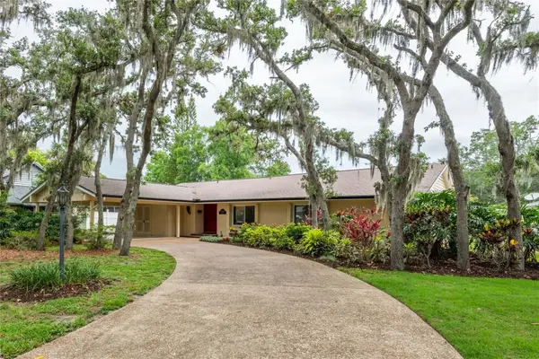 3605 Schefflera Road, TAMPA, FL 33618