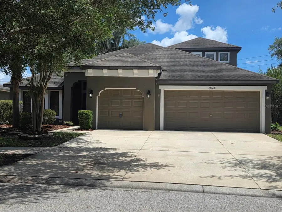 15723 Starling Water Drive, Lithia, FL 33547 - #2