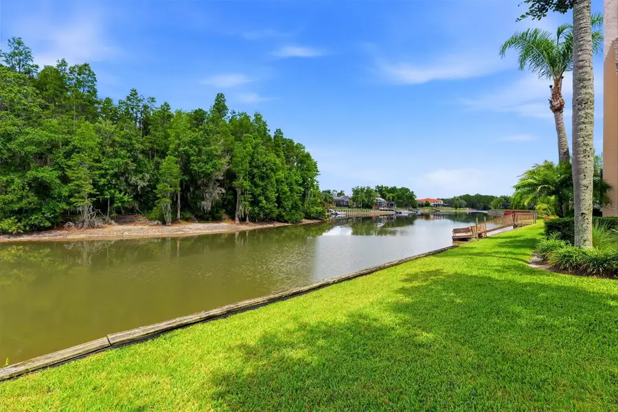 17912 Saint Croix Isle Drive, Tampa, FL 33647 - #3