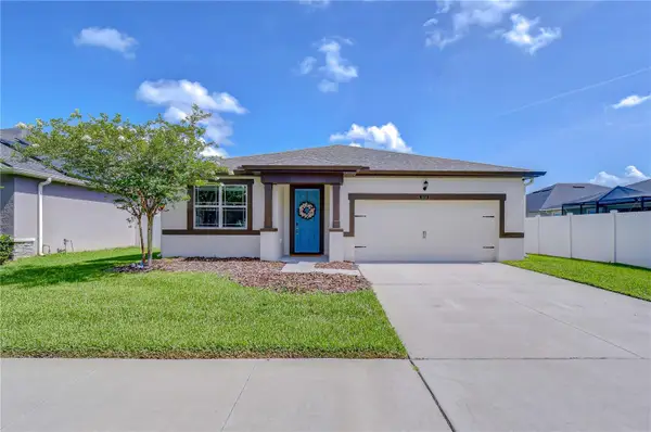 13238 Baby Belle Drive, RIVERVIEW, FL 33579