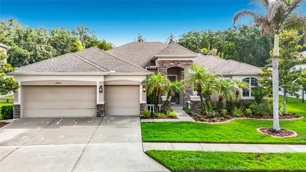 15401 Azra Drive, ODESSA, FL 33556