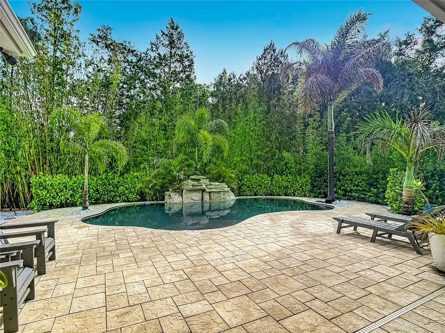 15401 Azra Drive, Odessa, FL 33556 - #2