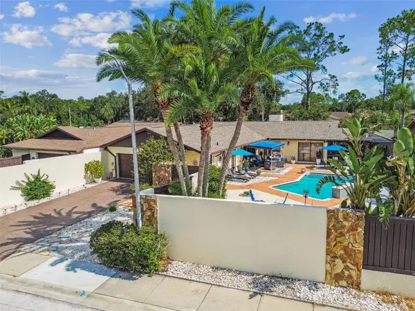 5004 Paloma Drive, TAMPA, FL 33624
