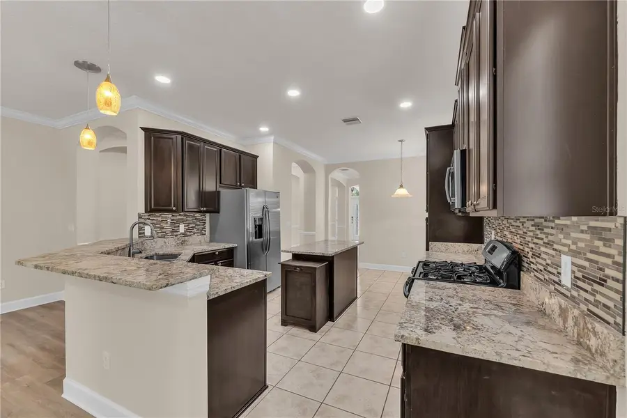 17433 New Cross Circle, Lithia, FL 33547 - #2