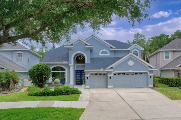 11721 Gothic Lane, TAMPA, FL 33626