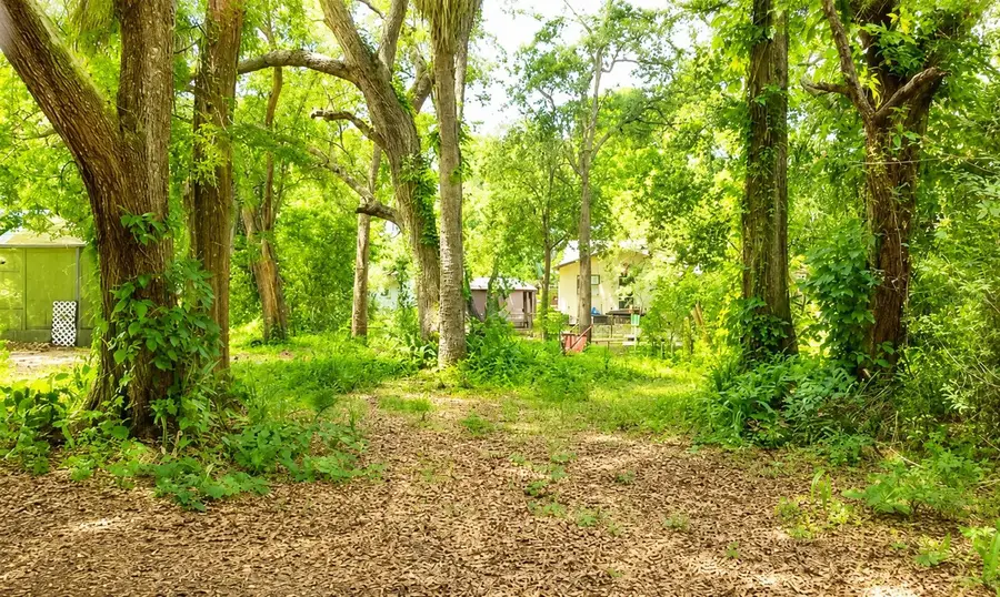 7416 Seagull Way, Tampa, FL 33635 - #3