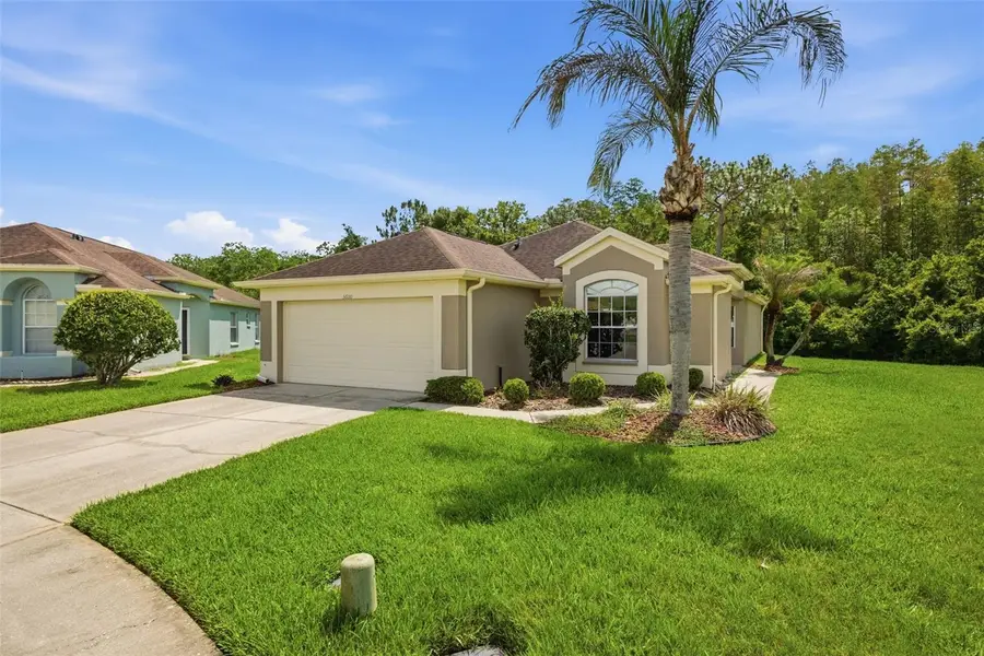 5600 Sir Barton Court, Wesley Chapel, FL 33544 - #2