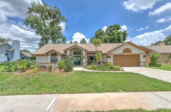 3816 Buckingham Loop Drive, VALRICO, FL 33594