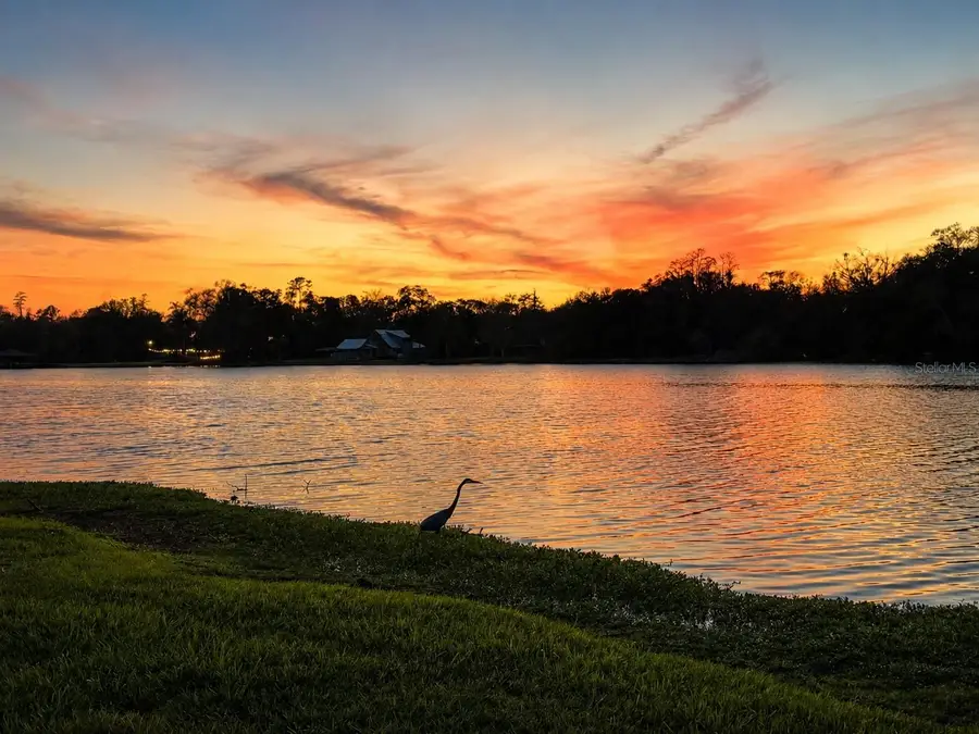 3330 Ehrlich Road, Tampa, FL 33618 - #3