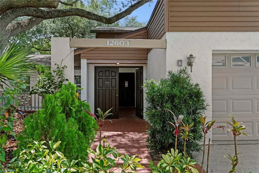12603 Rain Forest Street, Temple Terrace, FL 33617 - #3