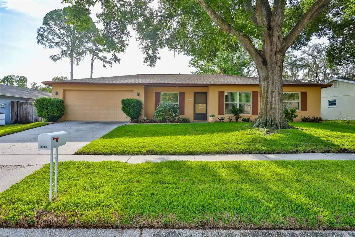 3718 Sand Pebble Drive, Valrico, FL 33596 - #1
