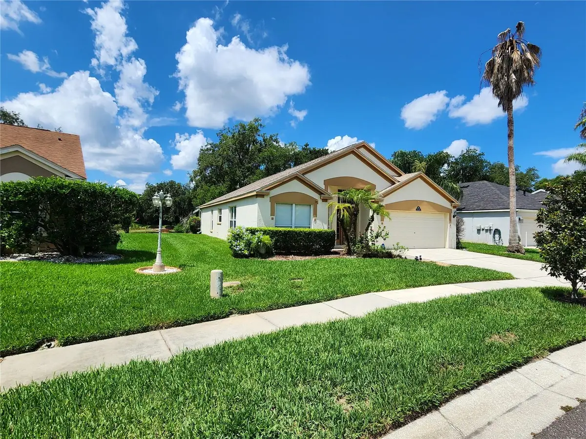 30702 Iverson Drive, Wesley Chapel, FL 33543 - #1