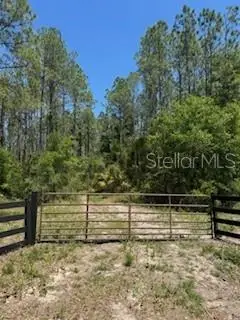 Ne Hwy 353, Old Town, FL 32680 - #1