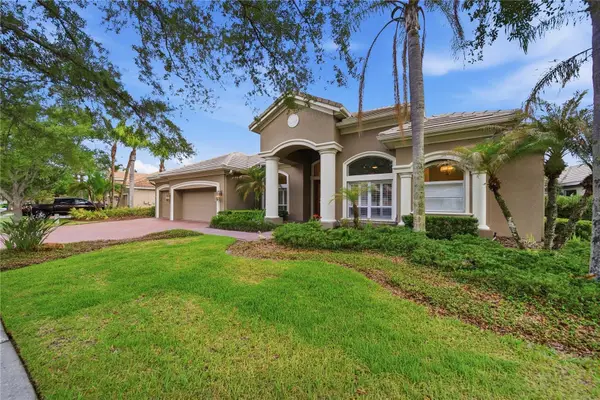 17210 Broadoak Drive, TAMPA, FL 33647