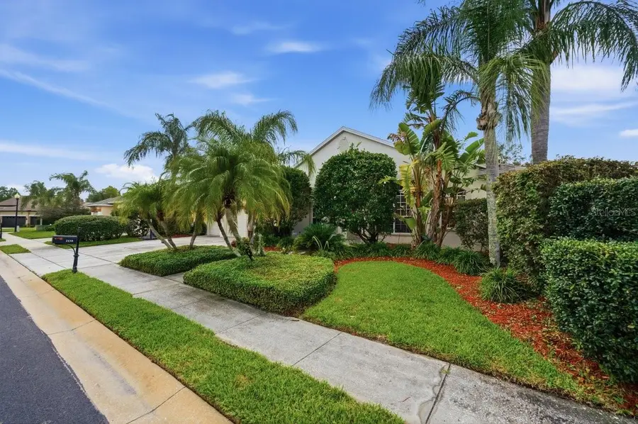 2138 Edelweiss Loop, Trinity, FL 34655 - #2
