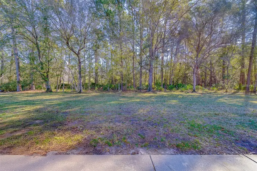 4405 Connery Court, Palm Harbor, FL 34685 - #3