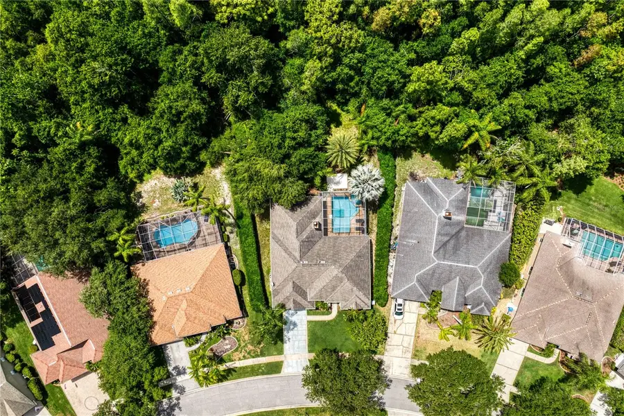 6123 Savoy Circle, Lutz, FL 33558 - #2