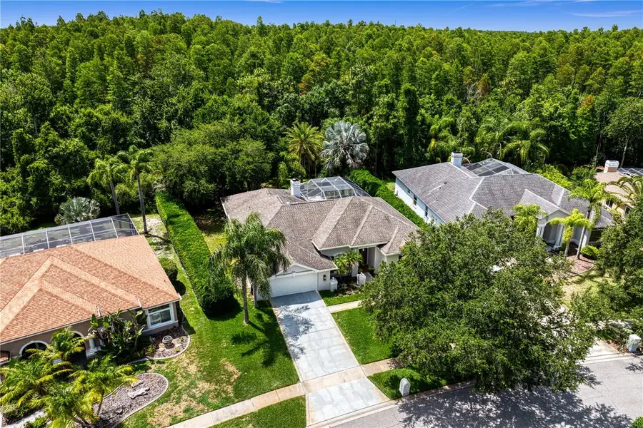 6123 Savoy Circle, Lutz, FL 33558 - #3