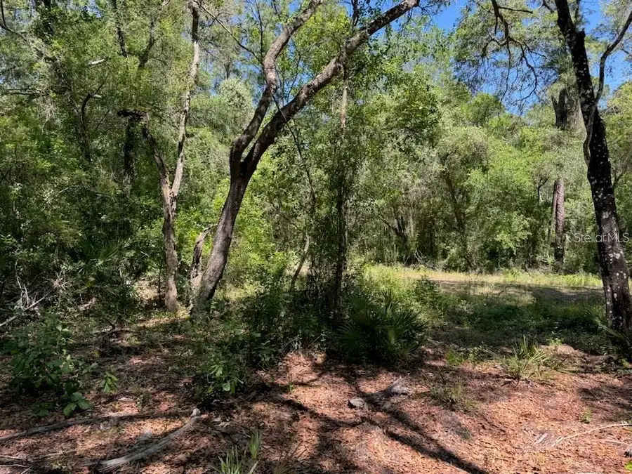 Citadel Drive, Webster, FL 33597 - #2