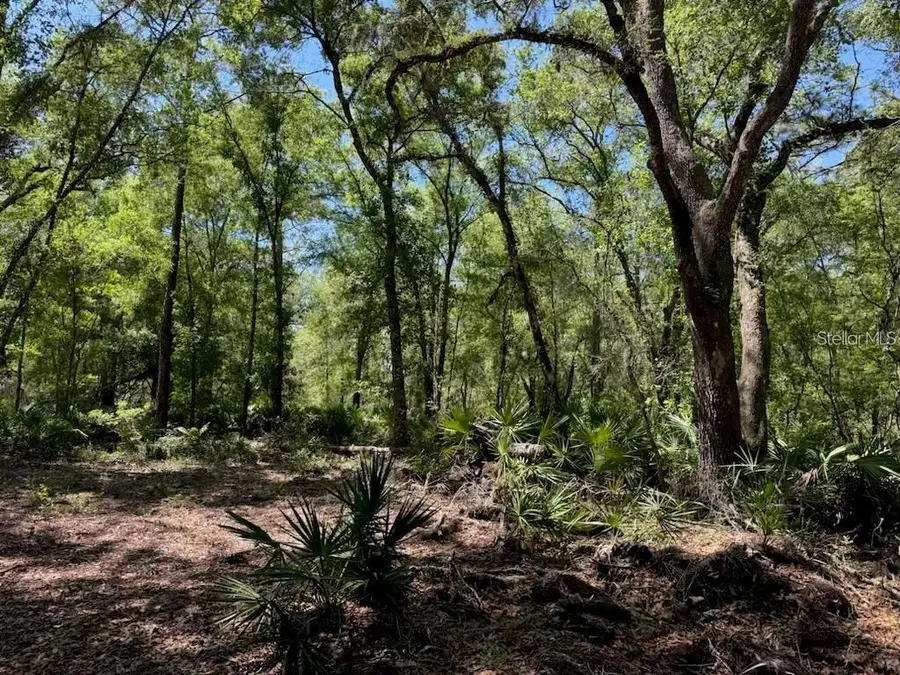 Citadel Drive, Webster, FL 33597 - #3