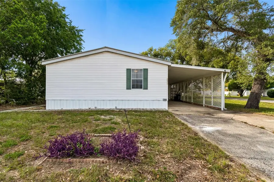 37913 Palmetto Palm Drive, Zephyrhills, FL 33542 - #3