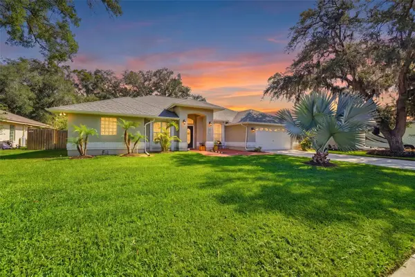 2511 Viny Court, TAMPA, FL 33618