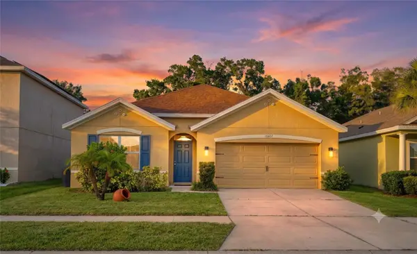 10607 Park Meadowbrooke Drive, RIVERVIEW, FL 33578